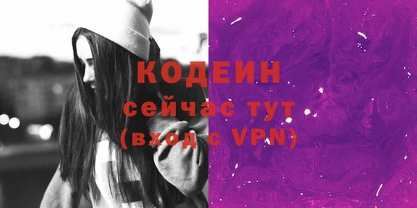ПСИЛОЦИБИНОВЫЕ ГРИБЫ Инсар