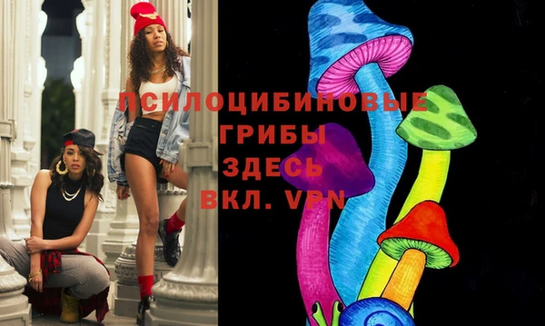 крисы Алексин