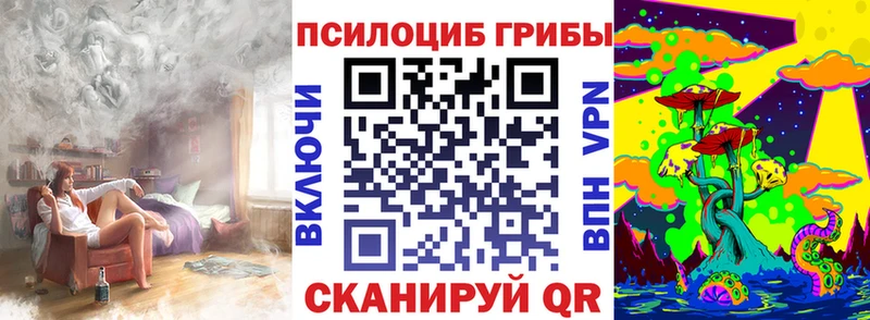 Купить где  Северская  Псилоцибиновые грибы Psilocybe 